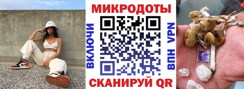 купить  цена  MEGA ссылки  Псилоцибиновые грибы Psilocybe  Котельники 